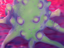Des chercheurs identifient le métabolisme qui régit les métastases du cancer du sein
