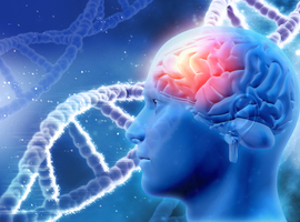 Wetenschappers vinden veertig nieuwe genen voor intelligentie