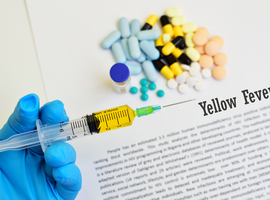 KU Leuven ontwikkelt vaccin tegen gele koorts en hondsdolheid 