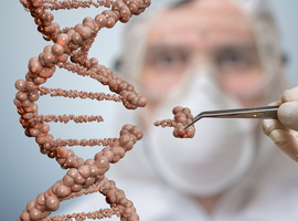  Des chercheurs corrigent des gènes défectueux dans des embryons humains