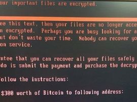 Nouvelle cyberattaque mondiale : la Belgique également frappée