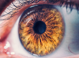 Gentherapie verbetert functioneel zicht patiënten met vorm erfelijke blindheid