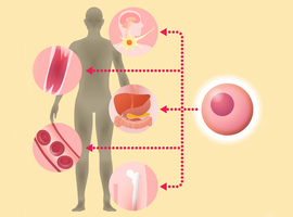 Prognostische mutaties in myelodysplastisch syndroom na stamceltransplantatie