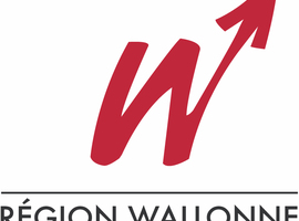 Pénurie de médecins généralistes dans 39 communes wallonnes