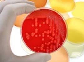 L’autoprescription d’antibiotiques stimule l’épidémie de superbactéries dans la région européenne