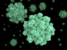 De dagen van het norovirus zijn geteld: er is een vaccin beschikbaar!
