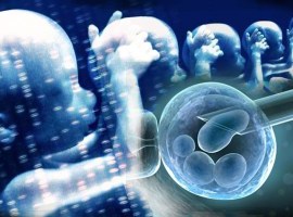 Des bébés conçus à partir de 3 ADN suscitent de vifs débats