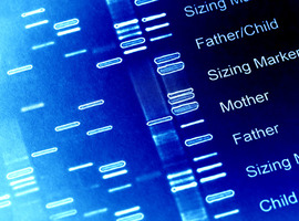 Donorkinderen mogen DNA van Nederlandse vruchtbaarheidsdokter verzamelen