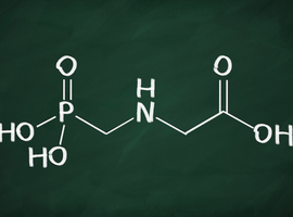 Le glyphosate ne doit pas être classé cancérogène