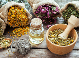 Quelles plantes dans l’hypertension et le stress?