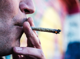 Cannabis uit het strafrecht halen of reguleren? 