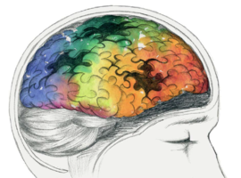 La phase précoce de prise en charge des patients atteints de perte cognitive débutante