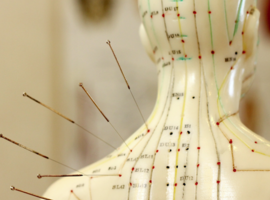 Cours d’acupuncture