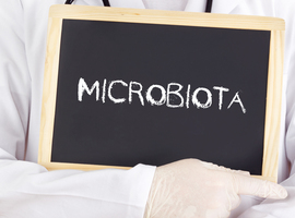 Microbiota en psychiatrie: de geheimen van ons tweede stel hersenen ontsluierd