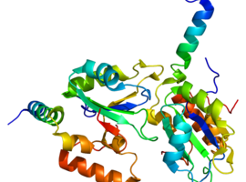 Mutation de SF3B1 et myélodysplasie avec sidéroblastes en couronne