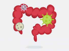 De rol van de microbiota in reumatische aandoeningen