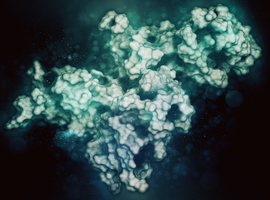 L’ustékinumab et le guselkumab dans la polyarthrite rhumatoïde active