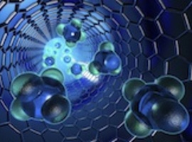 Belgisch-Frans onderzoeker bekroond als Europese Uitvinder van het Jaar voor innovatie in nanogeneeskunde