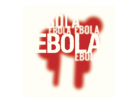 Ebola-website online!
