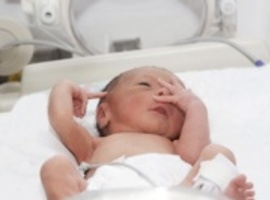 Is prematuriteit voorbeschikt voor een verhoogd cardiovasculair risico op volwassen leeftijd?