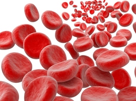 De behandeling van hemartrose bij hemofiliepatiënten (deel 6: de behandeling van een acute hemorragische episode)