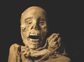 Mummies bewerken het imago van atherosclerose