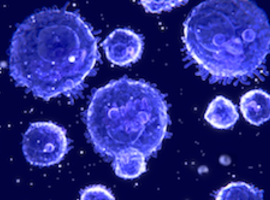 Les bonnes notes de l’immunothérapie dans le cancer