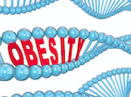 Obesitas en genetica