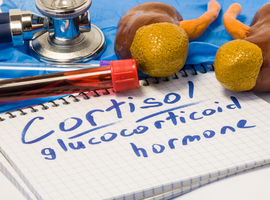 Moeten glucocorticoïden bij beginnende reumatoïde artritis? Resultaten na vijf jaar van de UCLouvain-cohorte