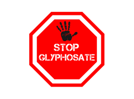 Près de 300 scientifiques belges et néerlandais demandent l'arrêt du glyphosate