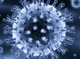 Moderna komt met positief nieuws over kandidaat-griepvaccin