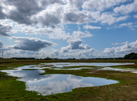 PFOS-vervuiling - Antwerpen past no-regretzones en -maatregelen voor grondwater aan