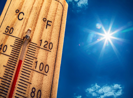 Les chaleurs extrêmes font plus de 175.000 victimes par an en Europe, selon l'OMS