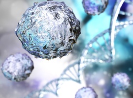 Allogene hematopoëtische stamceltransplantatie voor hodgkinlymfoom in het tijdperk van checkpointremmers: gezamenlijk onderzoek van CIBMTR en EBMT