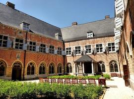 Une foule d'animations autour du jardin de plantes médicinales à Lessines