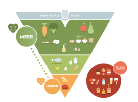 Vlaams Instituut Gezond Leven stelt nieuwe voedings- en bewegingsdriehoek voor
