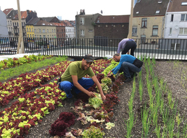 Inauguration d'un jardin sur le toit de l'Abattoir d'Anderlecht pour cultiver le bien-être