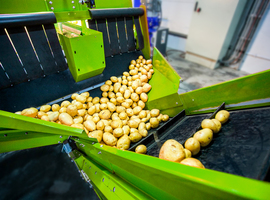 Oorzaak zieke werknemers bij Clarebout Potatoes nog niet bekend