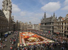 Un son et lumière à la Grand-Place de Bruxelles remplacera le traditionnel Tapis de fleurs