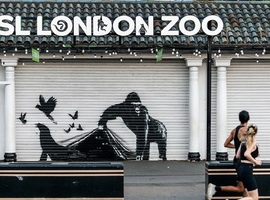 Banksy libère les animaux du zoo de Londres à la fin d'une intrigante série