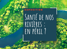 Une expo à Yvoir braque les projecteurs sur la santé des cours d'eau du bassin de la Meuse