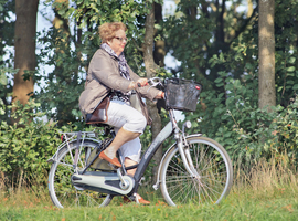 Le vélo électrique:  un moyen de faire bouger  les personnes âgées?