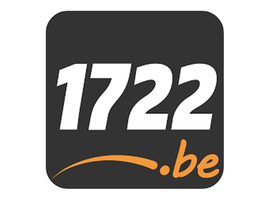 Le site internet 1722.be désormais joignable pour les interventions contre les guêpes