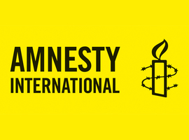 Carine Thibaut, nouvelle directrice francophone d'Amnesty International