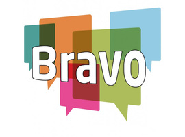 2022 BRAVO Symposium - March 18th (Brussels)