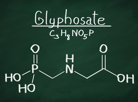 Glyphosate - La Belgique veut la fin de l'utilisation du produit dans les 5 ans