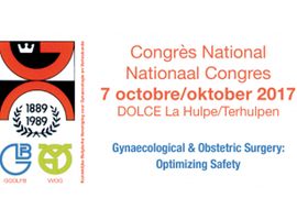 Gynaecological and Obstetric Surgery: Optimizing Safety