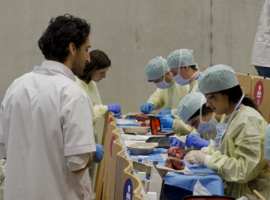 MedCup 2024 : quand les étudiants en médecine testent leurs aptitudes