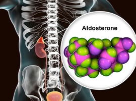 De fase 2a-studie SPARK toont de werkzaamheid van baxdrostat bij primair hyperaldosteronisme
