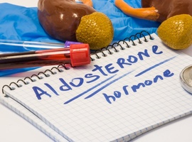 Le spectre de l’hyperaldostéronisme primaire et le risque d’événements cardiovasculaires